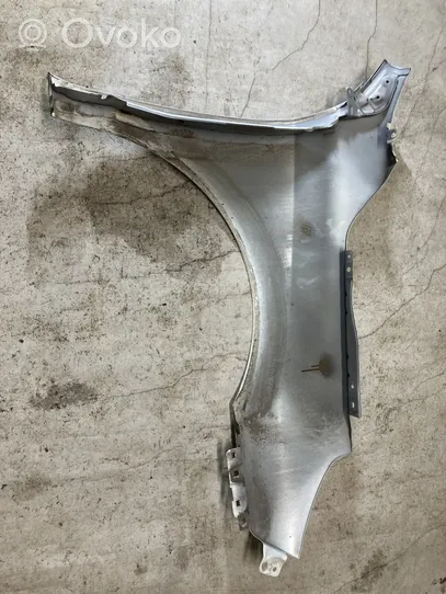 Renault Latitude (L70) Fender 