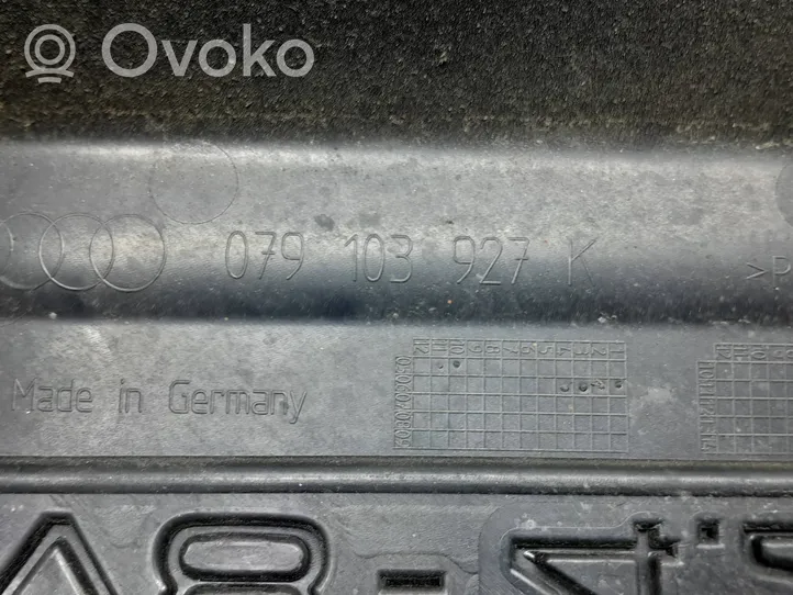 Audi Q7 4L Variklio dangtis (apdaila) 079103927K