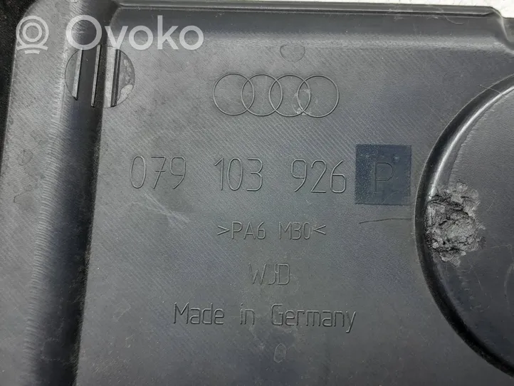 Audi Q7 4L Variklio dangtis (apdaila) 079103926