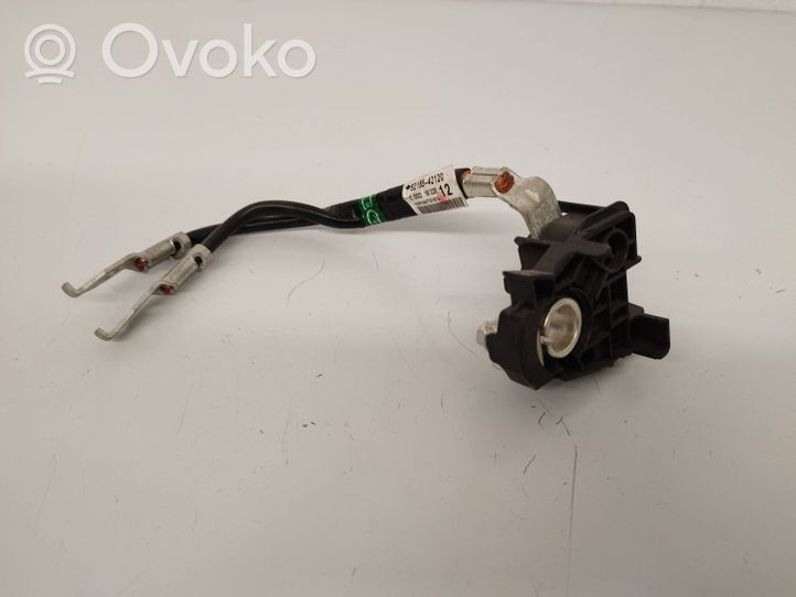 Toyota RAV 4 (XA50) Minusinis laidas (akumuliatoriaus) 8216542120