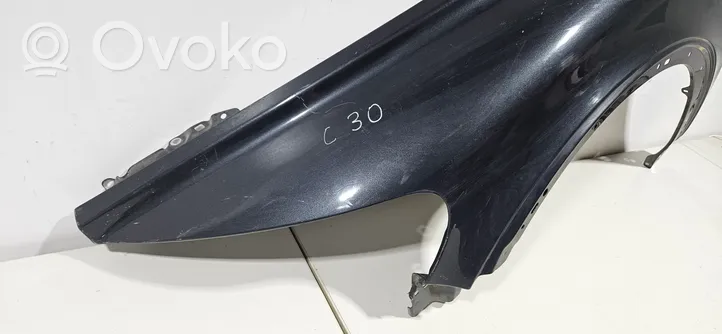 Volvo C30 Fender 