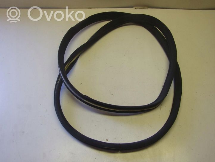 Mercedes-Benz S W220 Front door rubber seal 