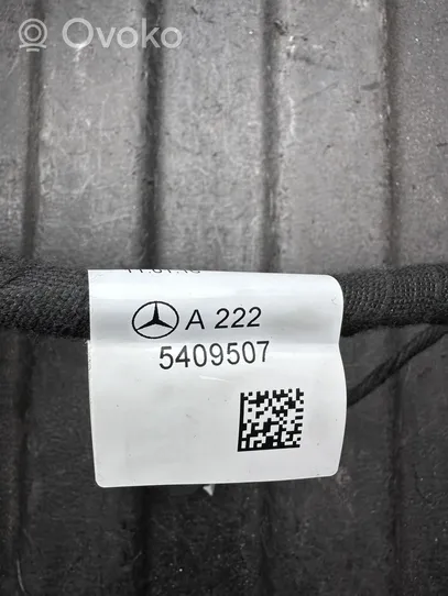 Mercedes-Benz S W222 Cablaggio porta anteriore A2225409507