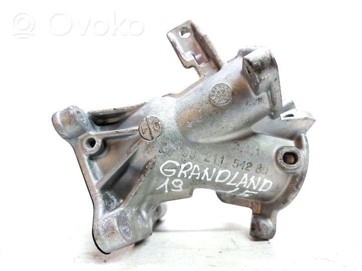 Opel Grandland X EGR-linjan letku 9821154280