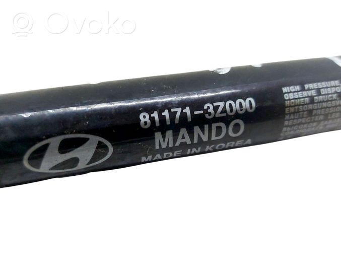 Hyundai i40 Ammortizzatore portellone anteriore/cofano 811713Z000