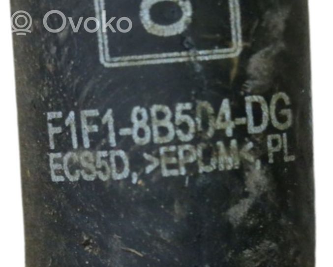 Ford Kuga II Manguera/tubo del líquido refrigerante F1F18B504DG