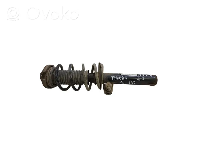 Volkswagen Tiguan Front shock absorber with coil spring 5N0412021BR