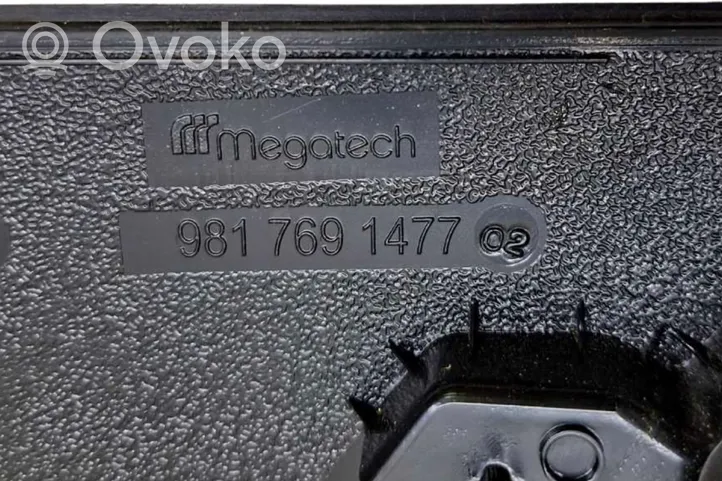 Peugeot Partner III Listwa / Uszczelka szyby drzwi przednich 9817691477