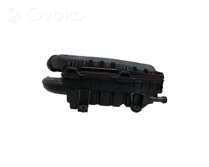 Citroen C4 III e-C4 Scatola del filtro dell’aria 9812735680