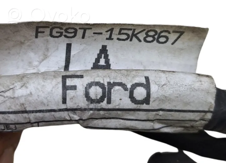 Ford Mondeo MK V Cablaggio del sensore di parcheggio (PDC) FG9T15K867