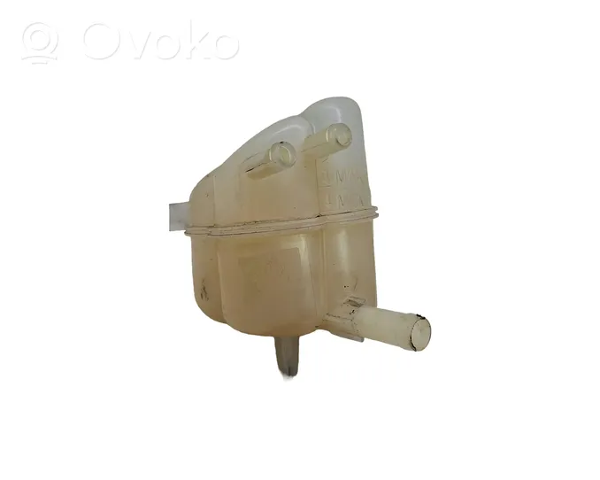 Ford Mondeo MK V Serbatoio di compensazione del liquido refrigerante/vaschetta DG938A080BA