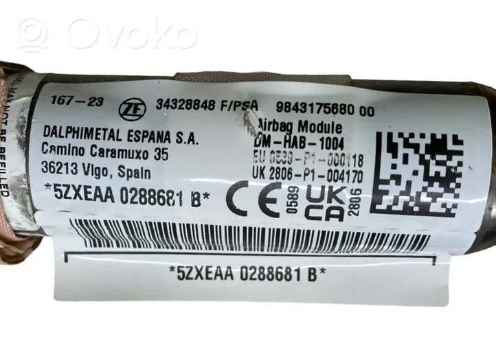 Opel Mokka B Airbag da tetto 9843175680