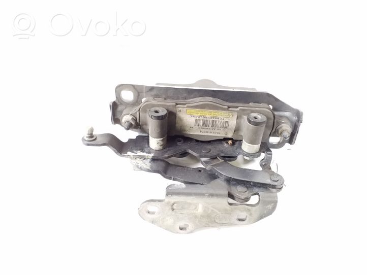 Mercedes-Benz E C207 W207 Cerniere del vano motore/cofano A2048800228