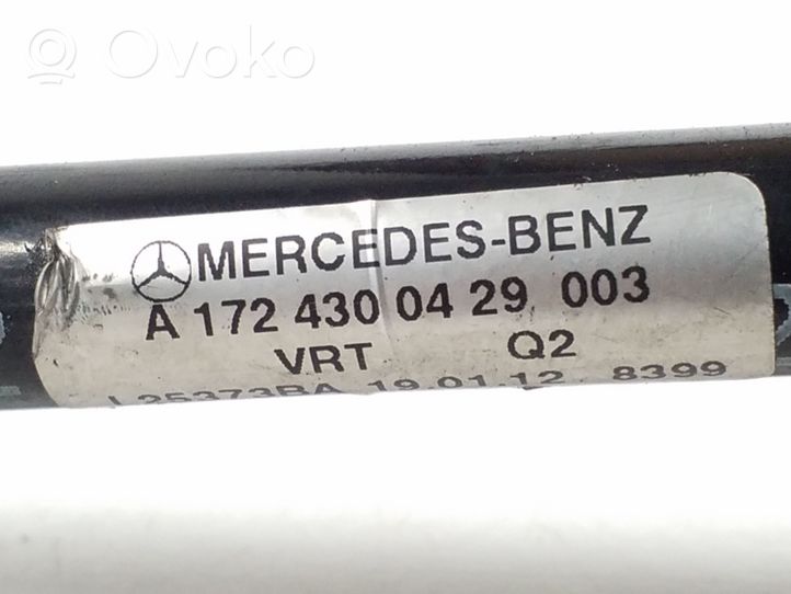 Mercedes-Benz SLK R172 Žarna (-os)/ vamzdis (-džiai) A1724300429