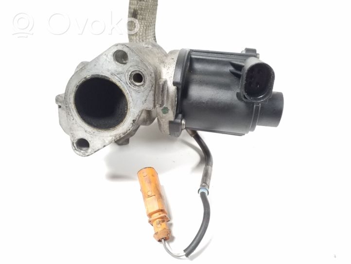 Audi Q7 4L EGR vožtuvas 059131501D