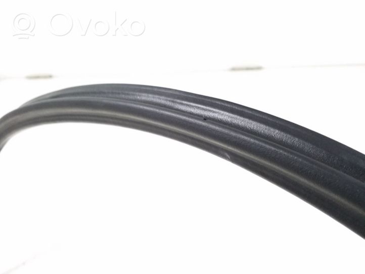 Audi A8 S8 D4 4H Rear door rubber seal (on body) 4H4833721G