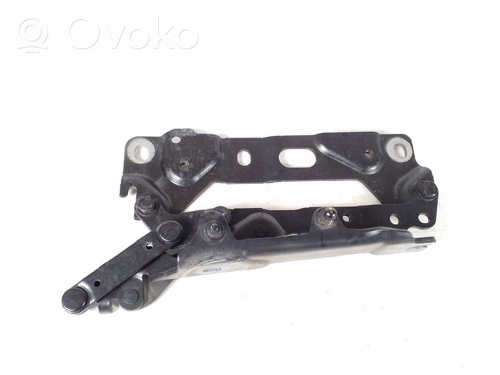 BMW 7 F01 F02 F03 F04 Cerniere del vano motore/cofano 7184190