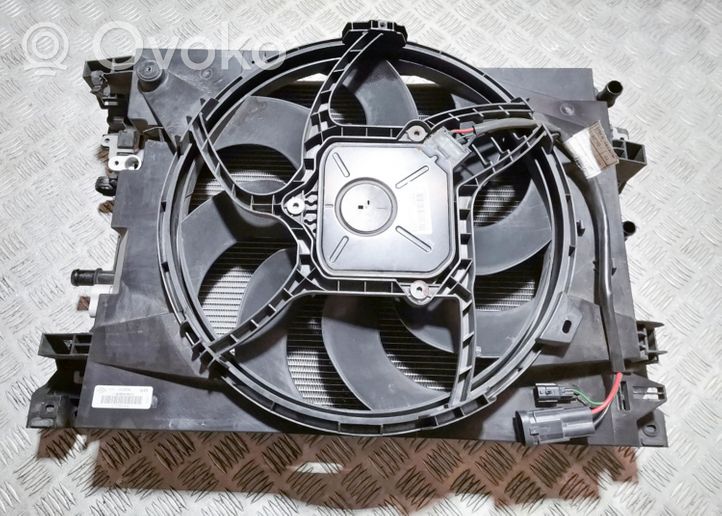 Renault Zoe Radiatore di raffreddamento 214819480R