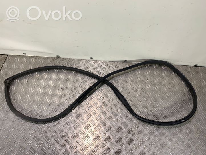 Hyundai Ioniq Rubber seal rear door 