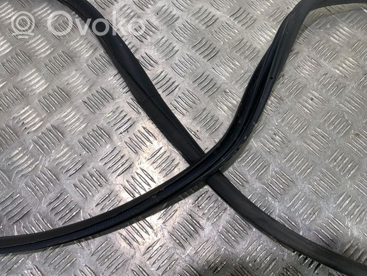 Hyundai Ioniq Rubber seal rear door 