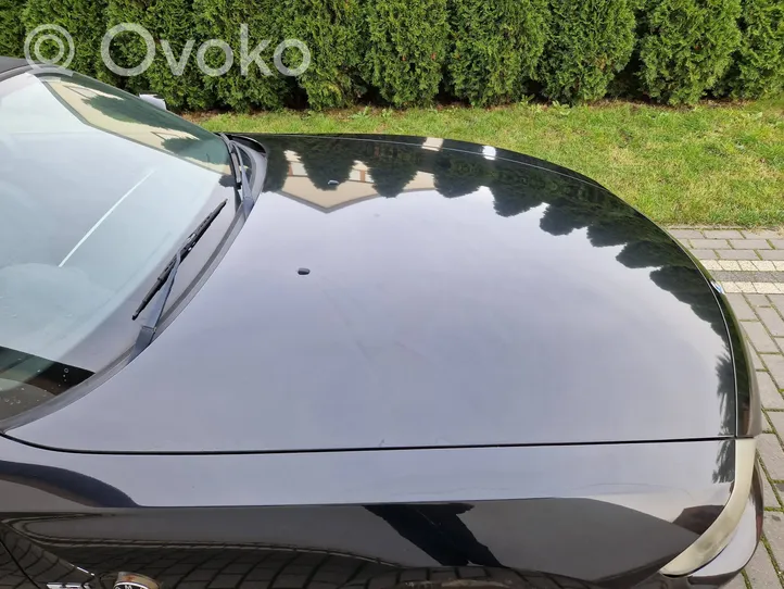 BMW Z4 E89 Dangtis variklio (kapotas) 