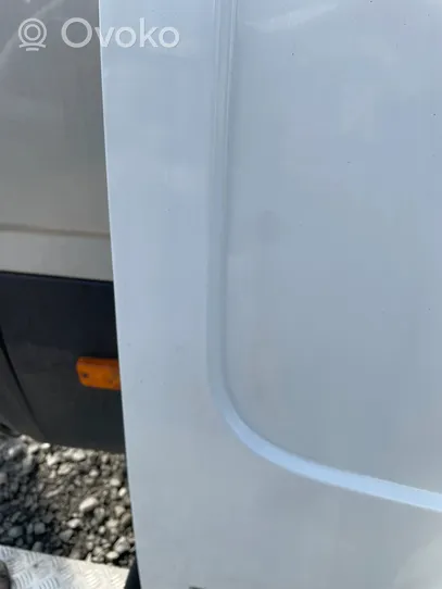 Renault Trafic III (X82) Rear door 