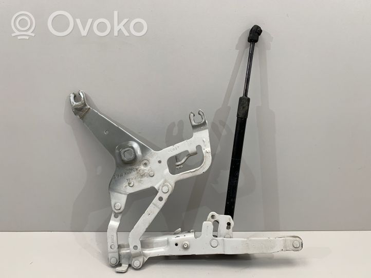 BMW X6 F16 Cerniere del vano motore/cofano 7294529