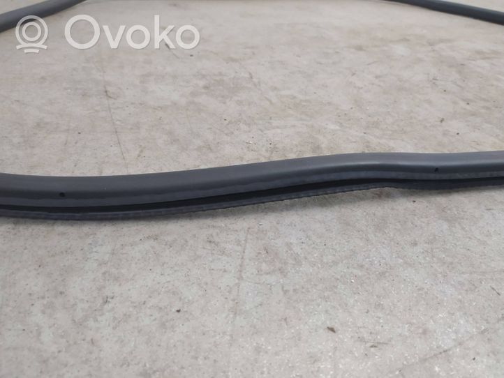 Volkswagen Touran I Front door rubber seal 