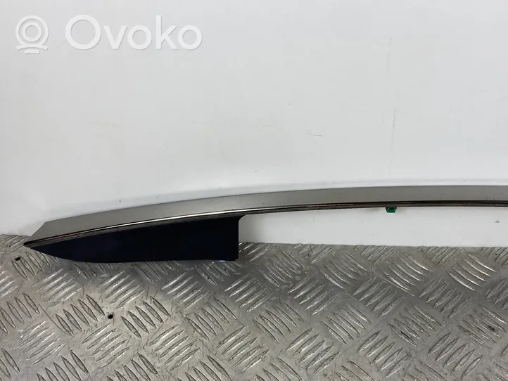 Hyundai Santa Fe Tailgate trim 