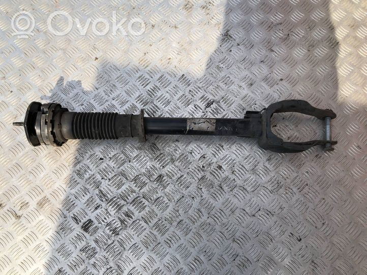 Mercedes-Benz GLE (W166 - C292) Ammortizzatore anteriore con molla elicoidale A1663232400