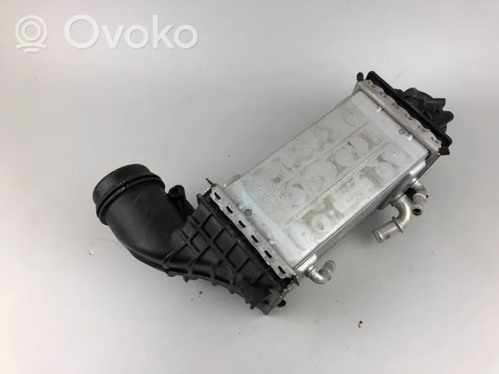 Volkswagen Golf VIII Chłodnica powietrza doładowującego / Intercooler 04E145785E