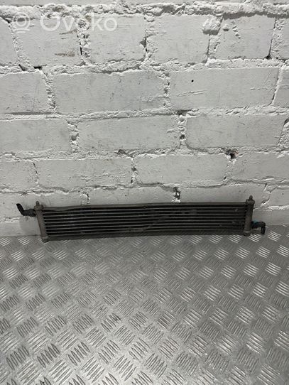 Land Rover Range Rover Sport L494 Radiateur CPLA8D010AA