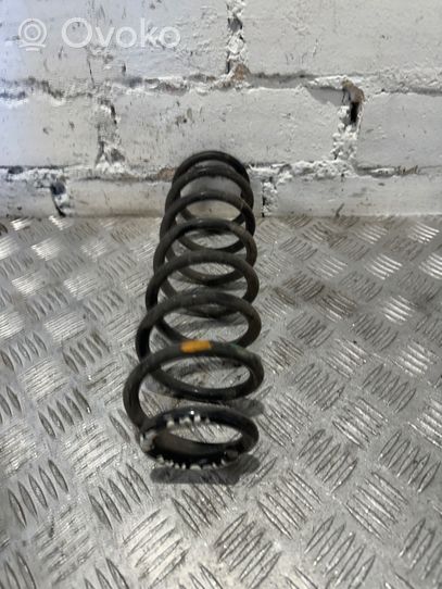 Renault Megane II Rear coil spring 