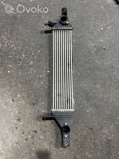 Nissan Qashqai Tube d'admission de tuyau de refroidisseur intermédiaire 14461BB50B