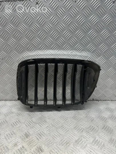 BMW X3 G01 Front grill 8091726