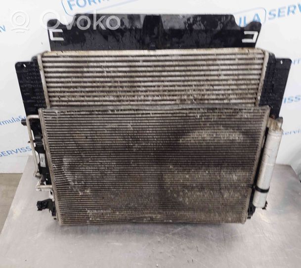 Volkswagen Crafter Radiator set 9065050655