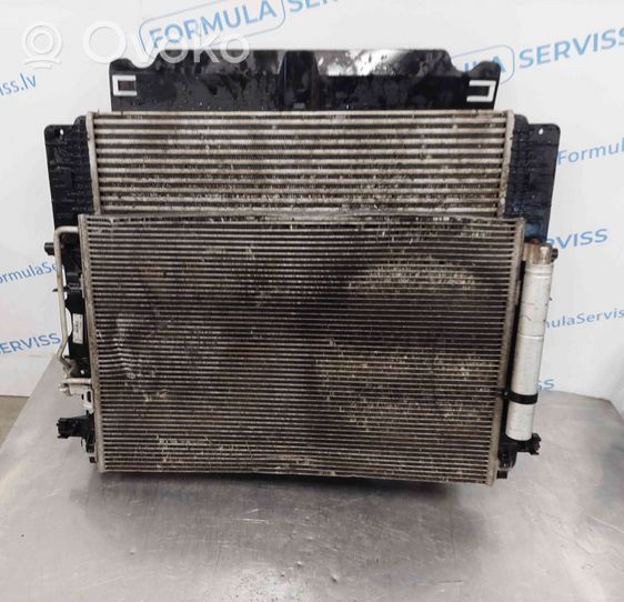 Volkswagen Crafter Radiator set 9065050655