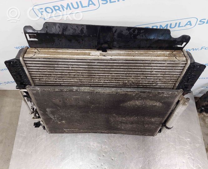 Volkswagen Crafter Radiator set 9065050655