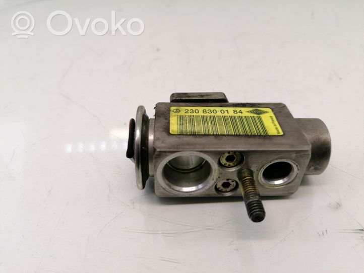 Mercedes-Benz S W220 Air conditioning (A/C) expansion valve 2308300184