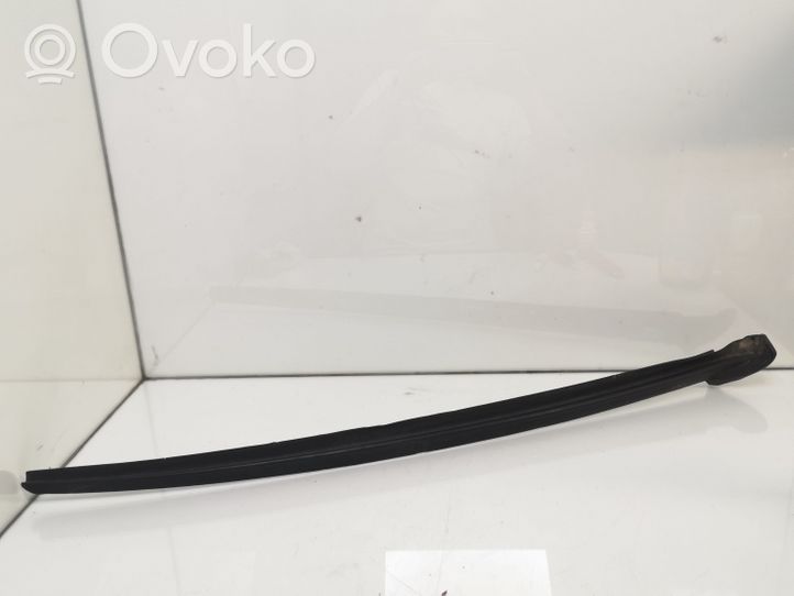 Citroen C6 Windshield trim 