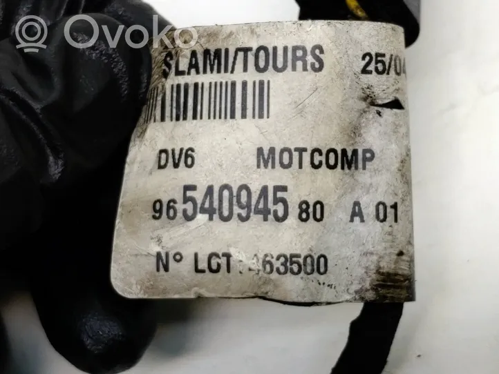 Citroen C5 Paskirstymo velenėlio padėties daviklis 9661135980