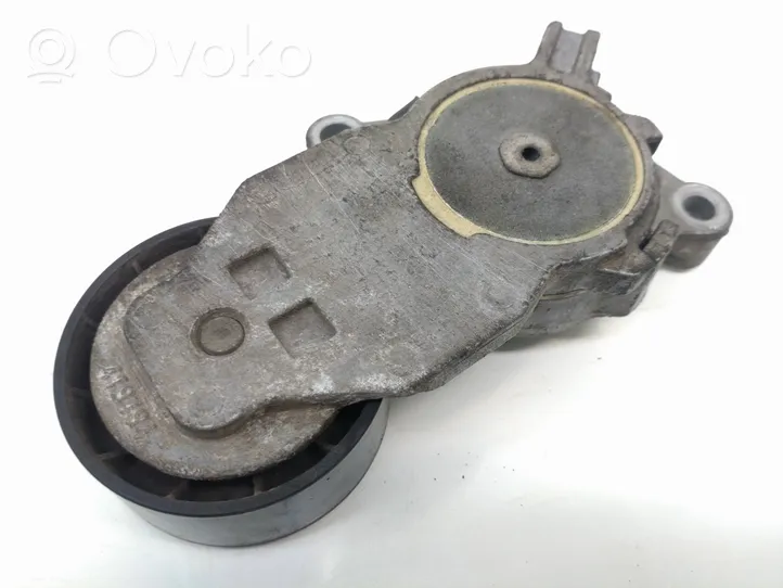 Volvo C30 Napinacz paska alternatora 419484