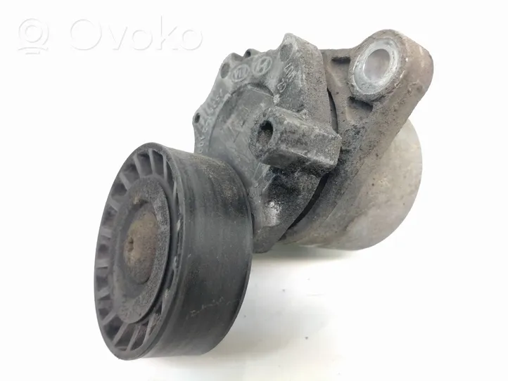 Hyundai i30 Napinacz paska alternatora 252812a000