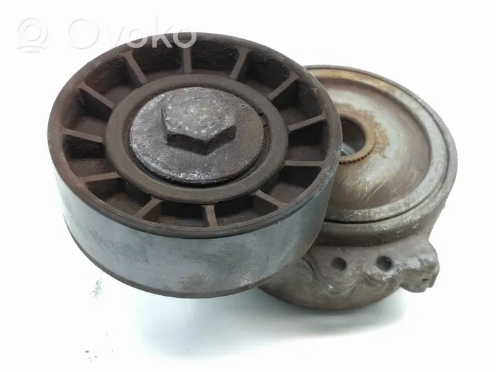 Ford Kuga I Napinacz paska wielorowkowego / Alternatora 530615