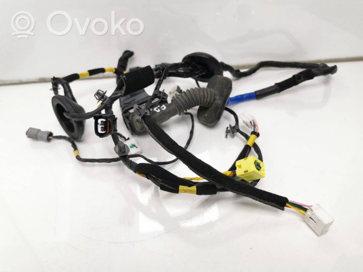 KIA Soul Front door wiring loom 91610e4090