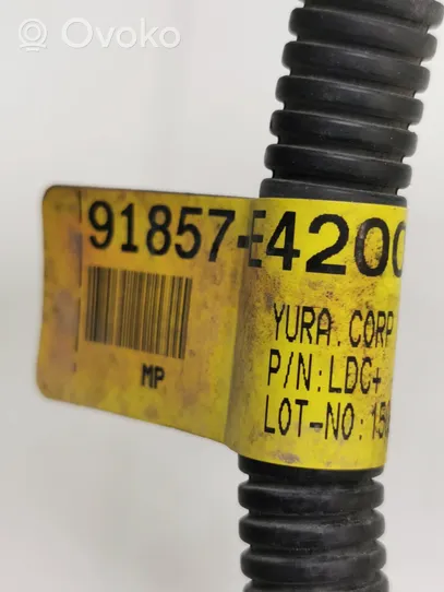 KIA Soul Câble de batterie positif 91857E4200