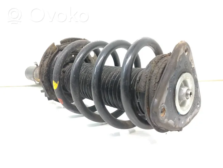 Ford Transit -  Tourneo Connect Front shock absorber with coil spring DV6118K001LC