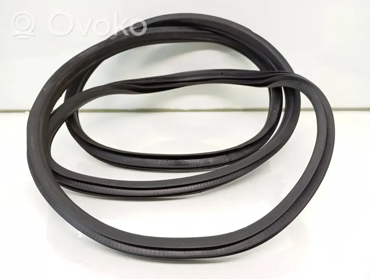 BMW X5 E70 Front door rubber seal 