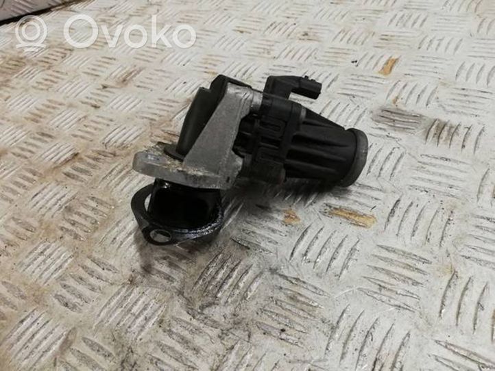 Nissan Qashqai EGR vožtuvas H8200129863