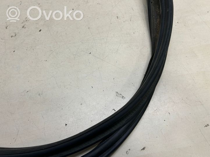 Volkswagen Touareg II Trunk rubber seal (body) 